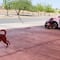 VIDEO: Perrito llegó buscando comida a un autolavado y se convirtió en supervisor de los trabajadores