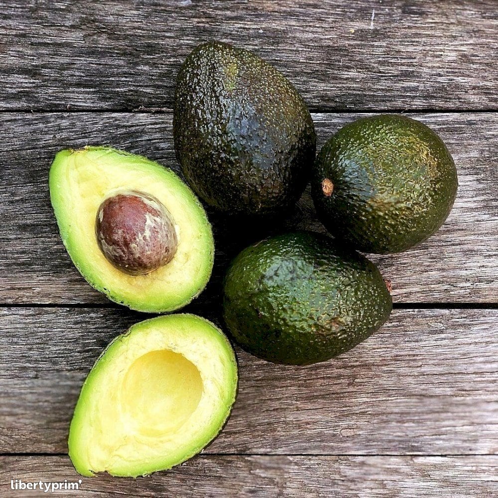 Aguacate hass