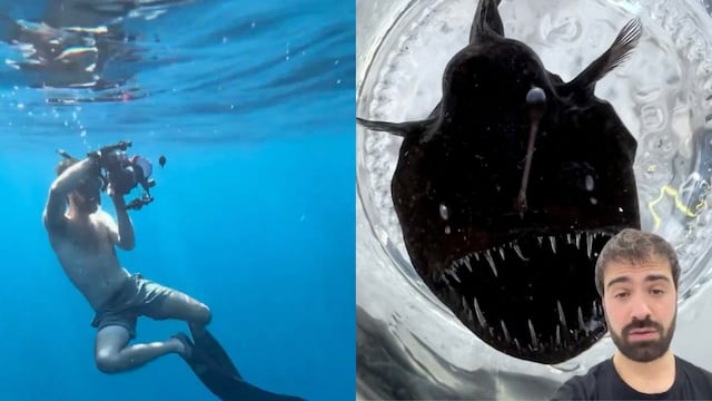 Autor de video de pez diablo negro explica el porqué terminó en la superficie
