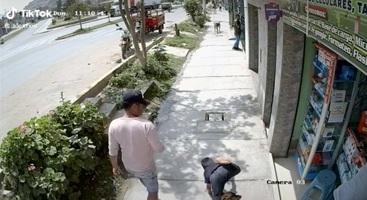 Niño se cae cuando choca con el perro