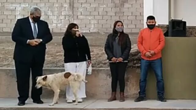 En Argentina, un perrito orinó a una presidenta municipal