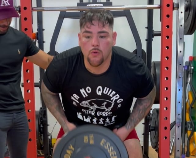 Andy Ruiz, boxeador