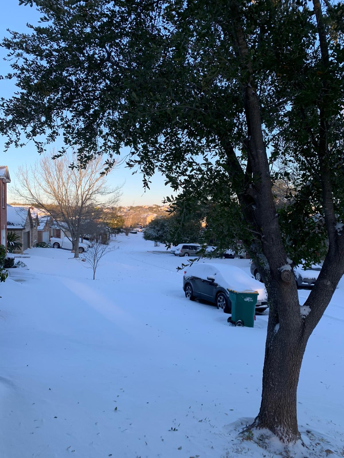 Nevadas en Texas