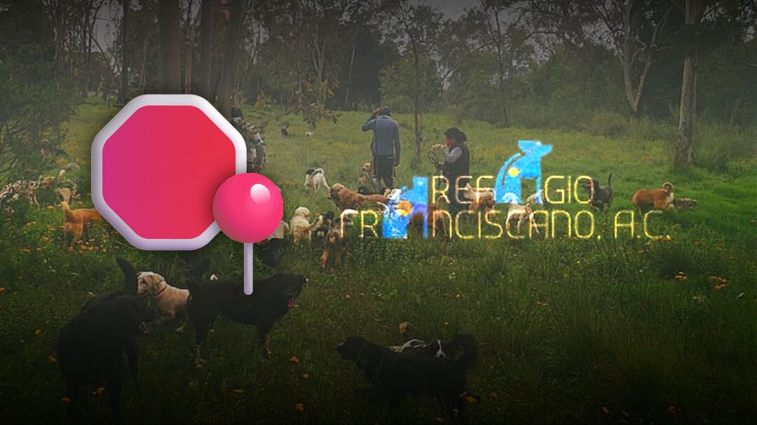 Refugio Franciscano denuncia desalojo que pone en riesgo a más de mil animales rescatados