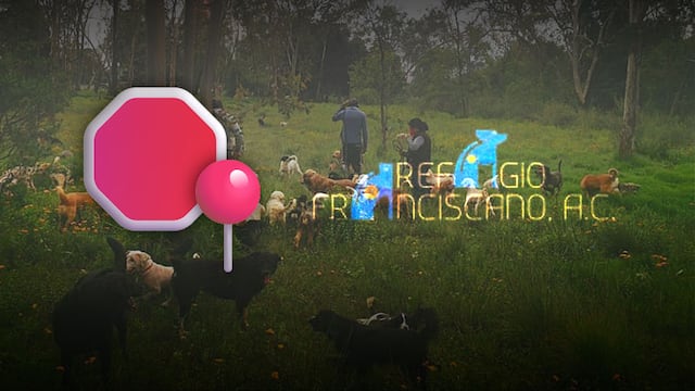 Refugio Franciscano pide ayuda para no ser desalojado con animales rescatados