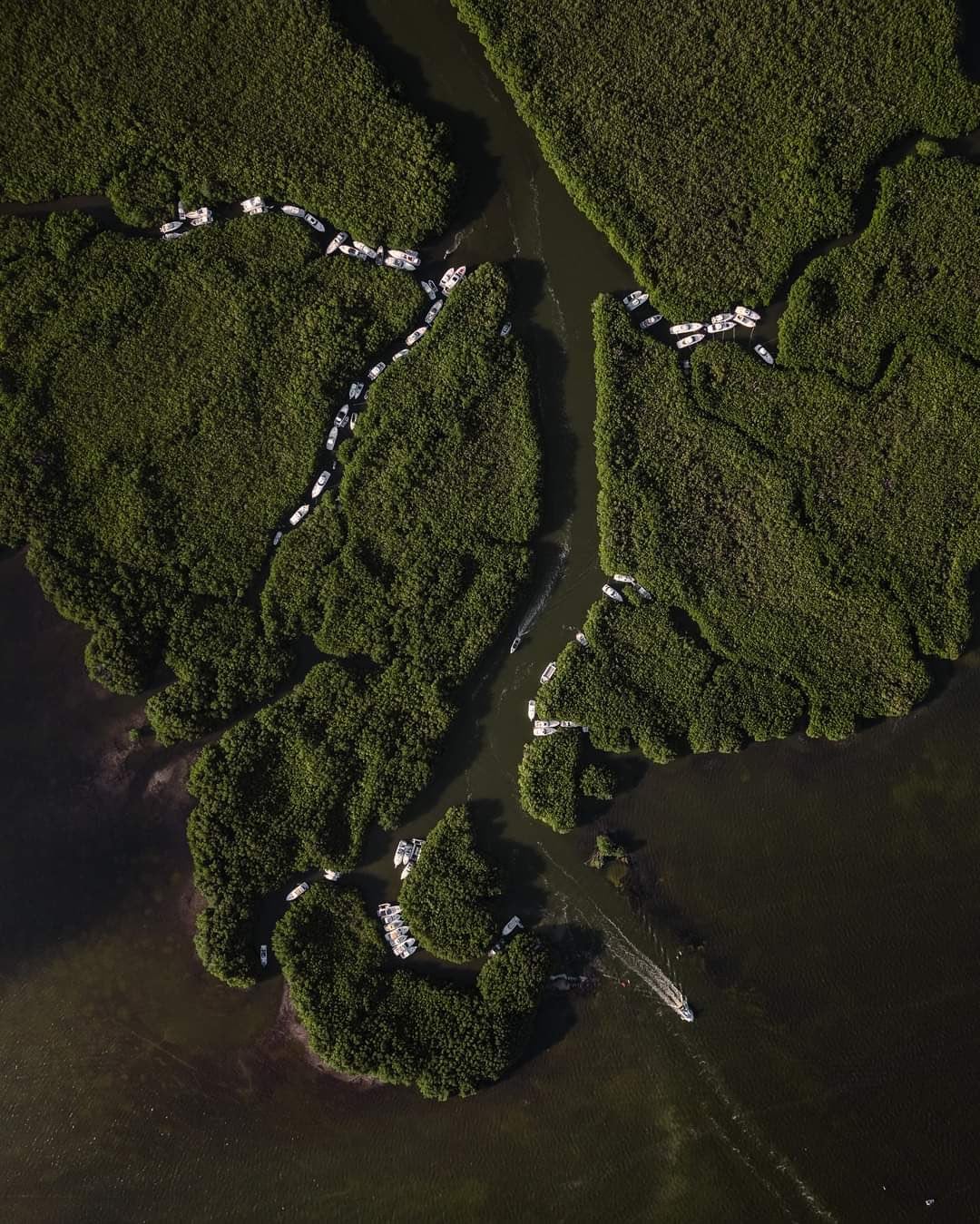 Veleros, yates y barcos se resguardan del huracán Beryl en los manglares de Cancún