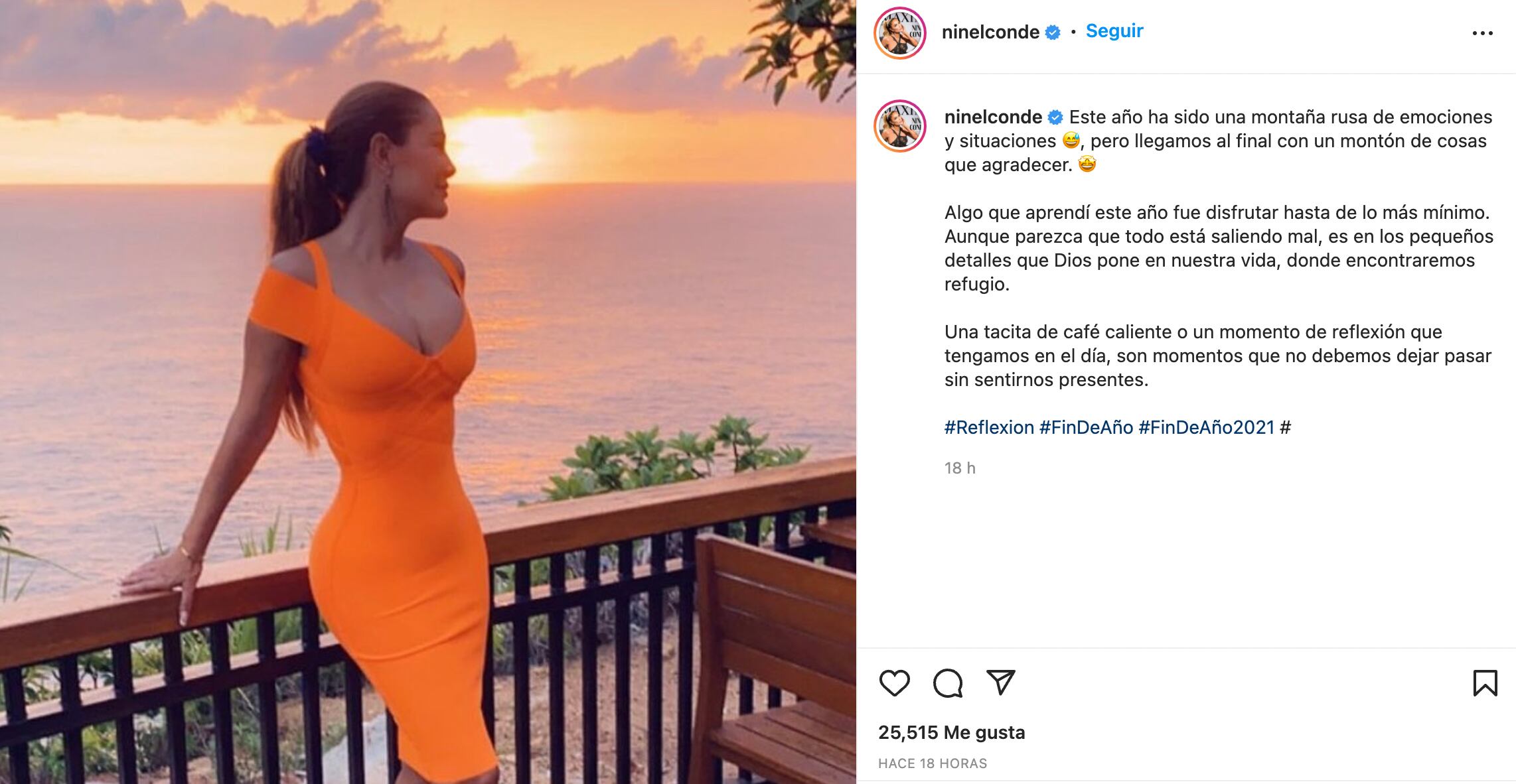 Publicación de Ninel Conde