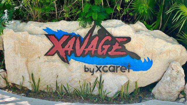 Xavage, de Grupo Xcaret, cerró por una triste realidad del caribe mexicano