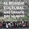 Cuarta Sección del Bosque de Chapultepec: Qué visitar y fotos bonitas de la inauguración