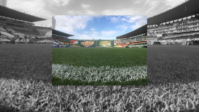 León y Pumas buscan el liderato en la Liga MX