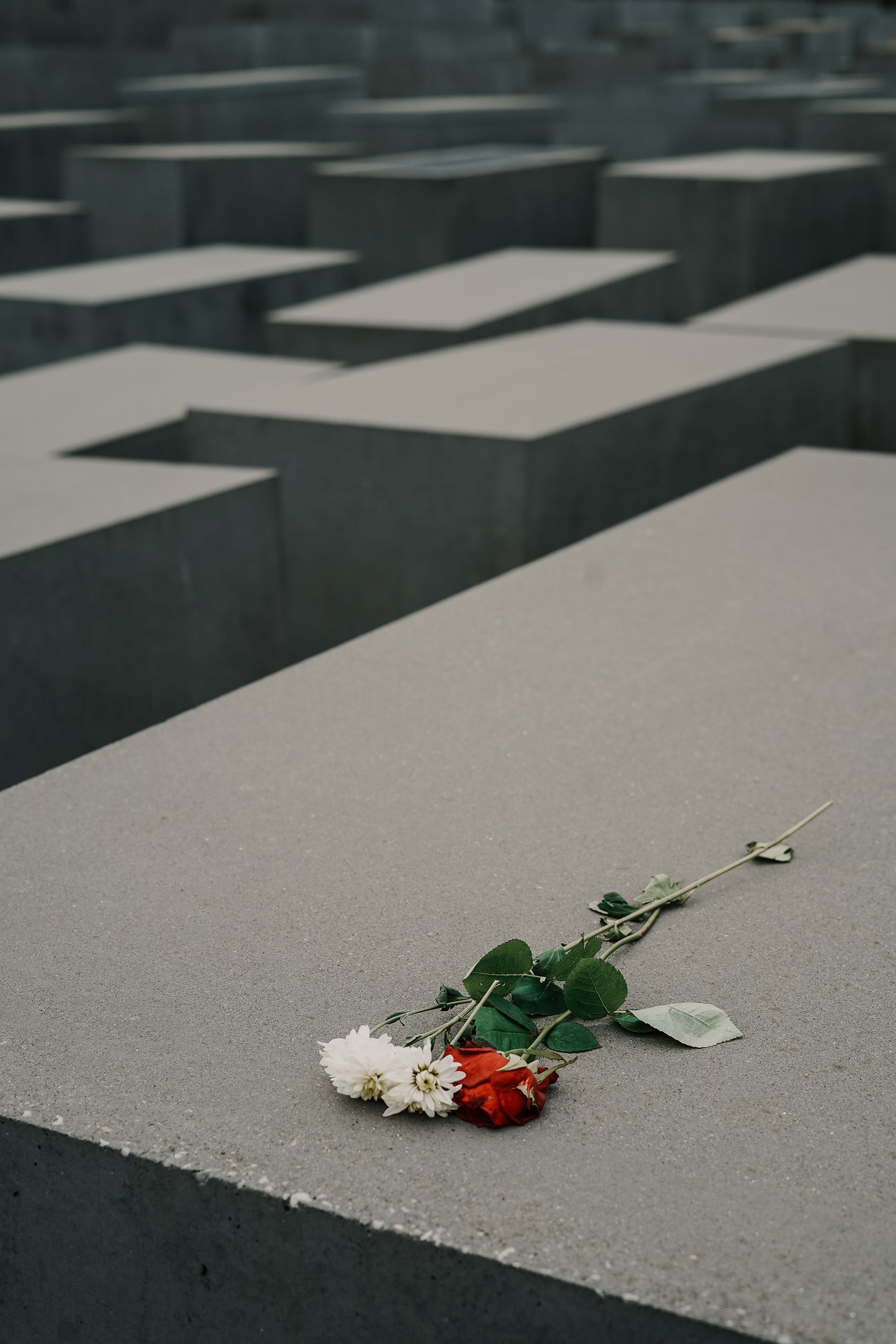 Este es el significado de soñar con la muerte de un ser querido y llorar