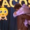 Emilio Osorio abraza a Juan Osorio al reencontrarse en La Casa de los Famosos México (VIDEO)