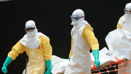 Francia detecta el primer caso humano del virus Shamonda