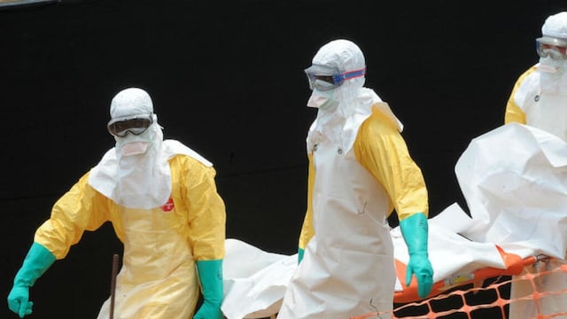 Francia detecta el primer caso humano del virus Shamonda