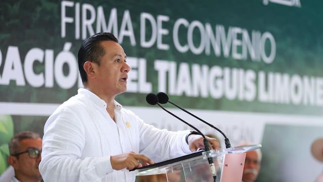 Gobierno de Michoacán y productores de limón