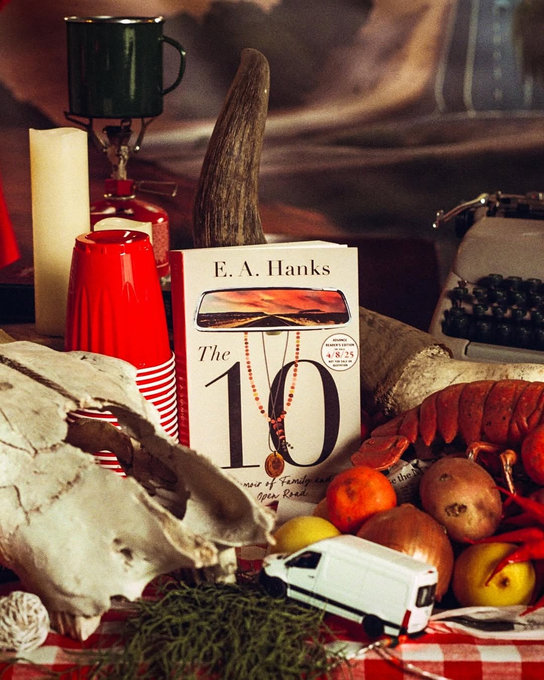 Elizabeth Anne Hanks