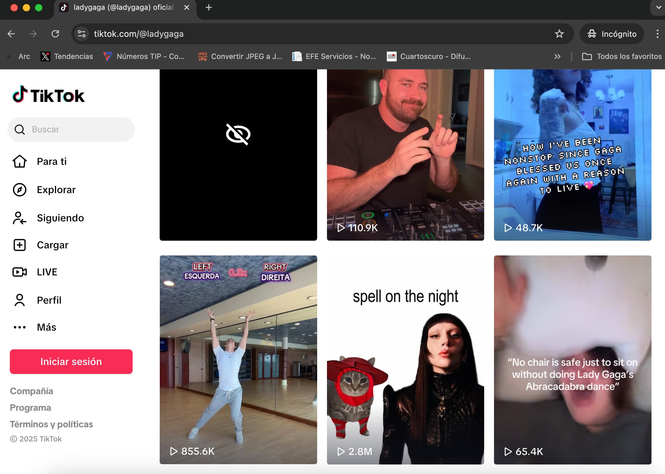 Lady Gaga compartió un video del gato oiia oiia