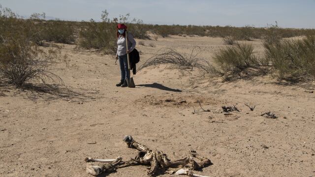 Búsqueda en campo de personas desaparecidas en México