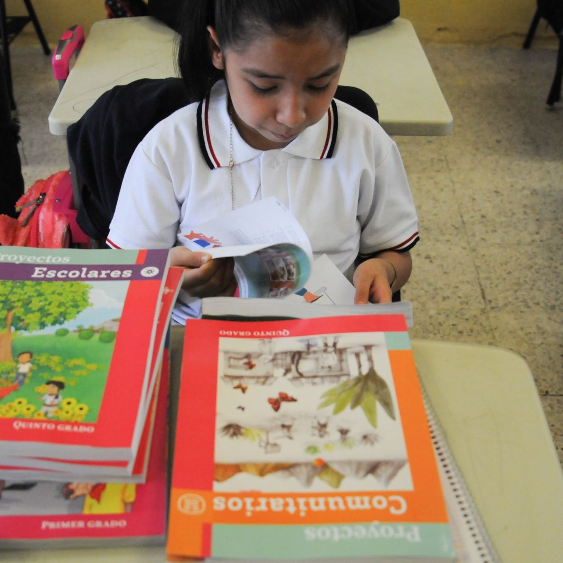 Cambios recientes de la educación básica en México y España