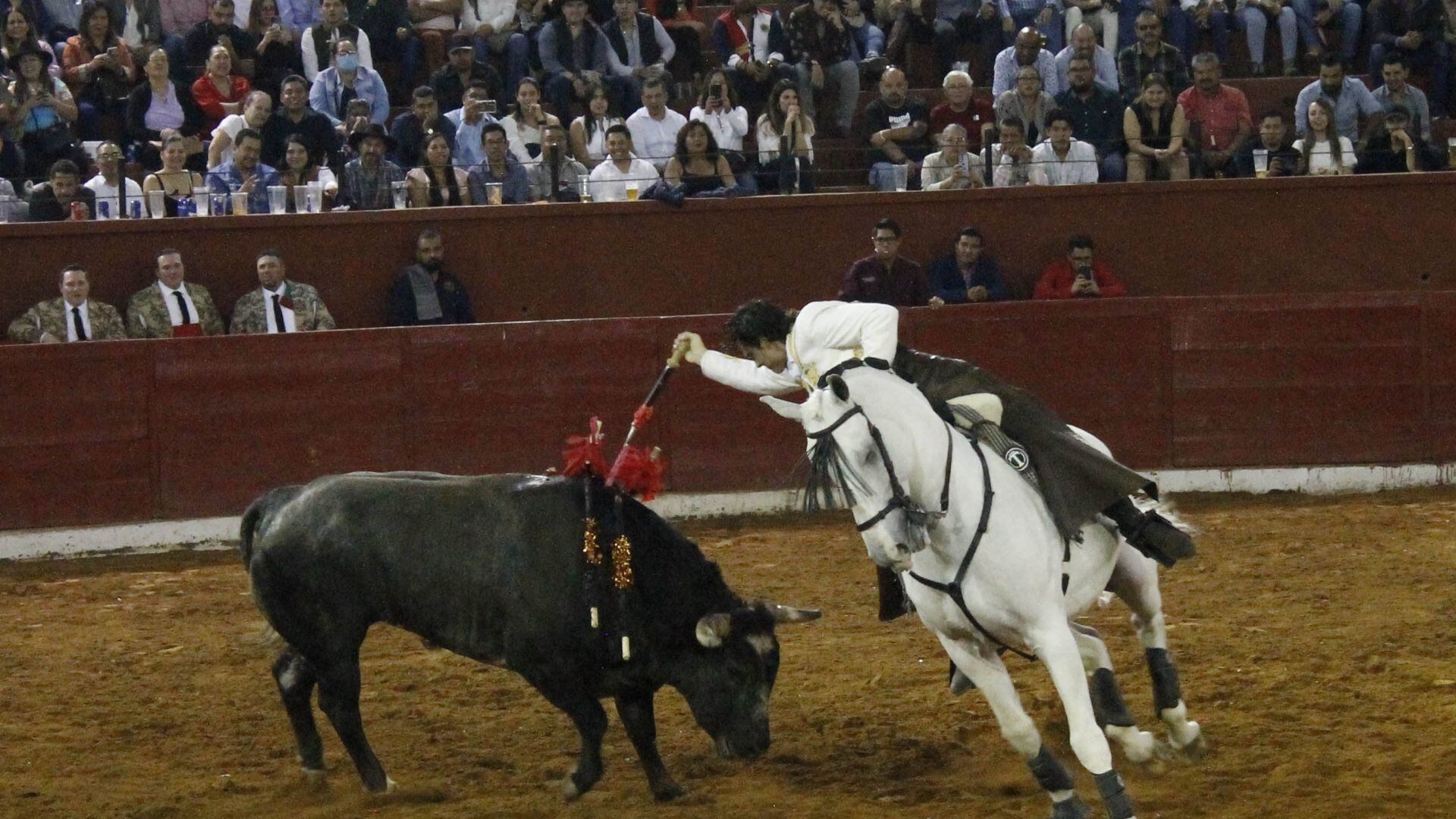 Espadas, banderilla, tiempo límite y más: Lista de cambios a la tauromaquia en CDMX para no matar a toros