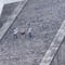 Turistas no aprenden: Otro se sube a la pirámide de Chichén Itzá y lo apalean