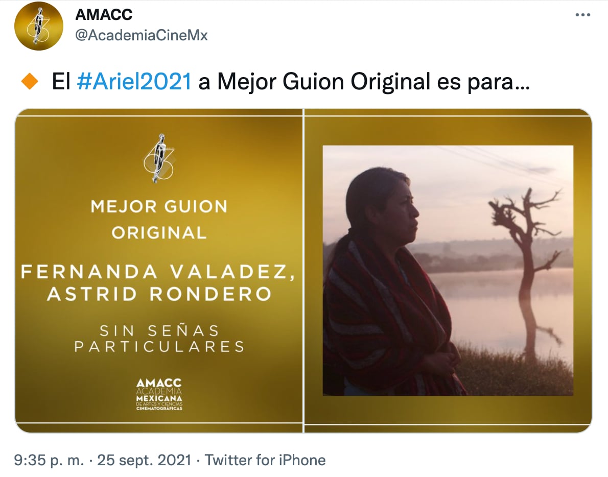 Sin señas particulares, Premios Ariel 2021