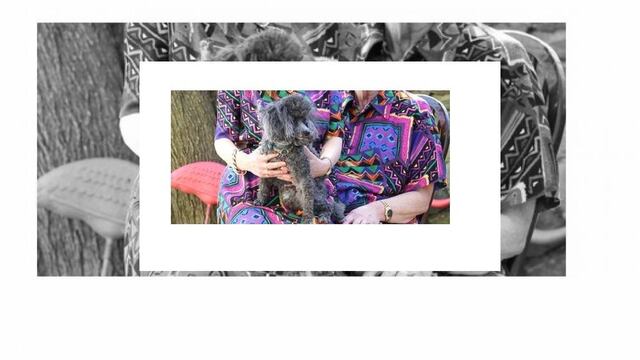 ¿Por qué las parejas comienzan a parecerse muchísimo después de un tiempo de salir?