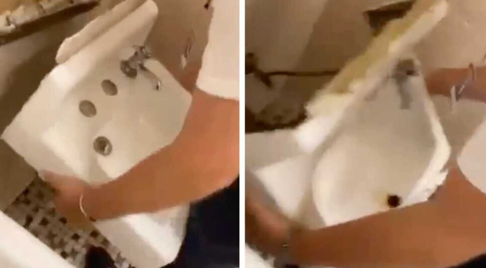 'Devious Lick', reto viral de TikTok