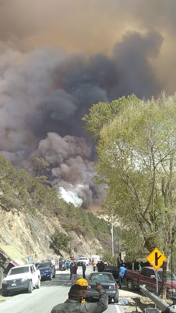 Incendio forestal