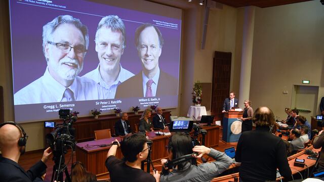 William Kaelin, Peter Ratcliffe y Gregg Semenza comparten Nobel de Medicina.