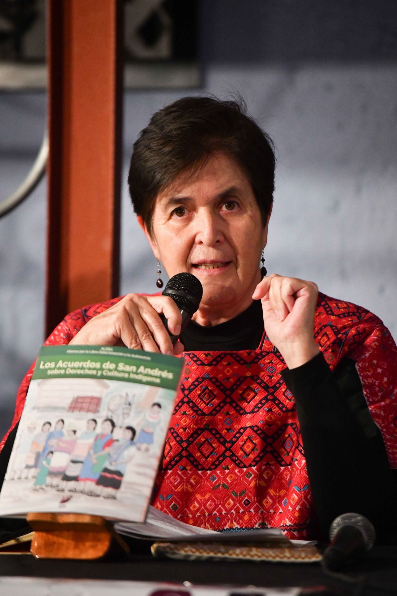 Dolores González Saravia