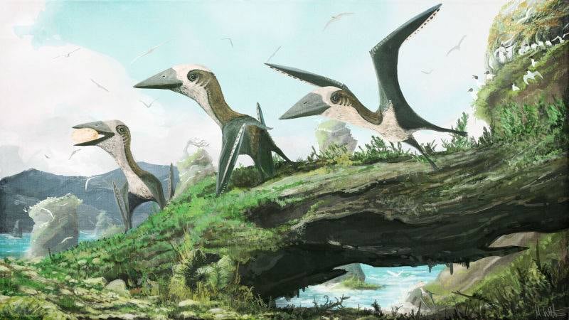 Descubren especie de dinosaurio igual de pequeña que un gato