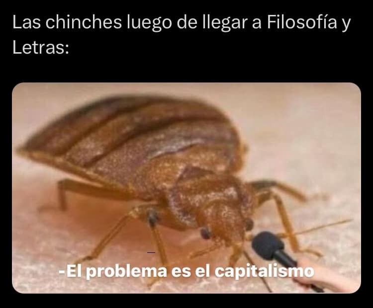 Se desata plaga de memes por chinches de la UNAM
