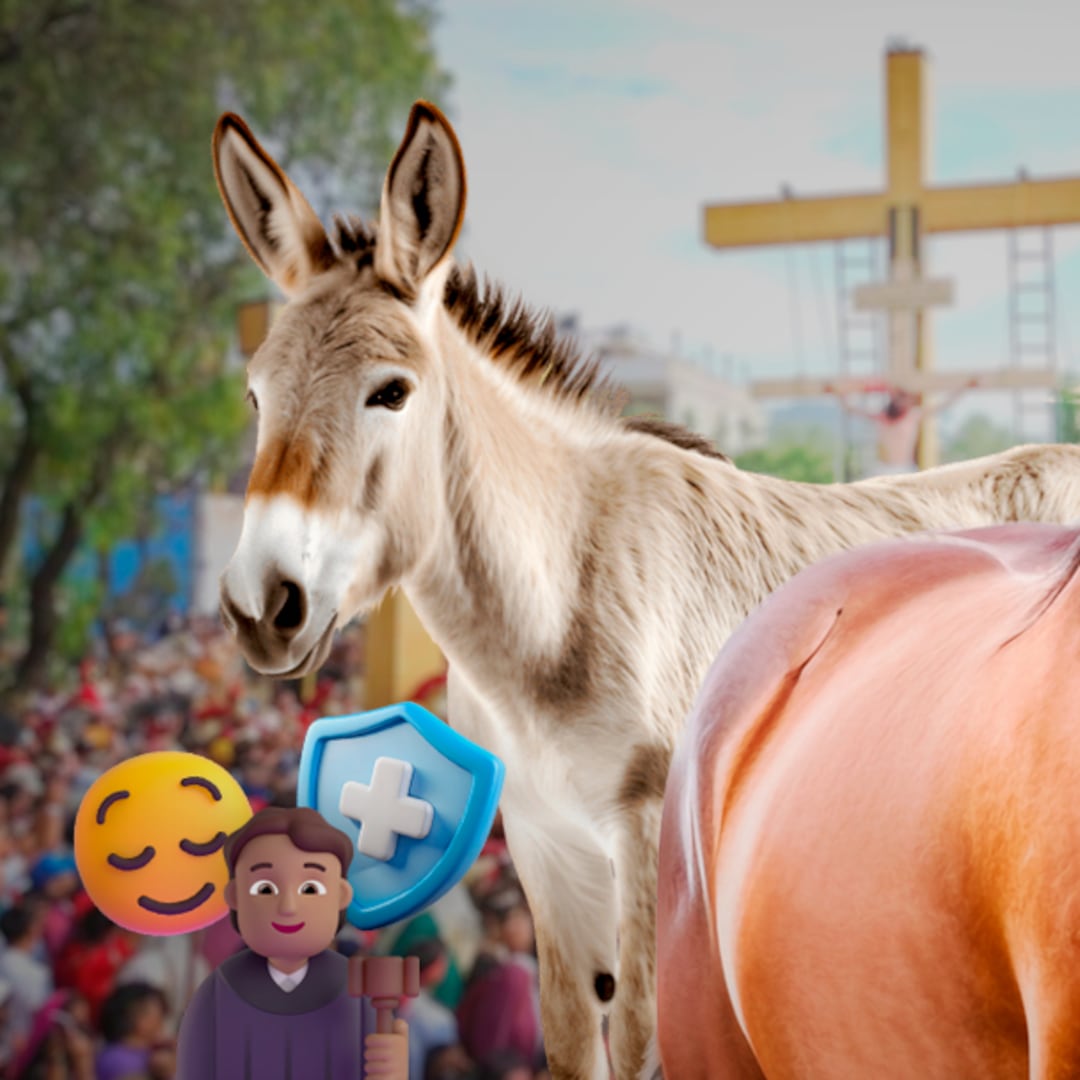 Juez ordena proteger caballos y burros en Viacrucis de Iztapalapa 2026