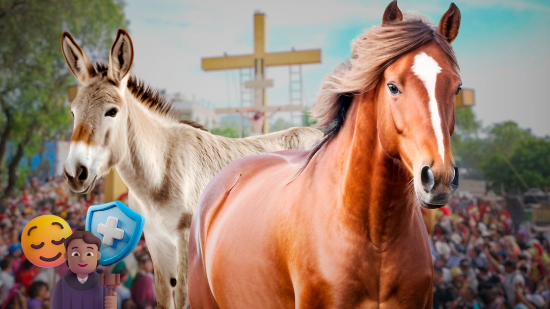 Juez ordena proteger caballos y burros en Viacrucis de Iztapalapa 2026