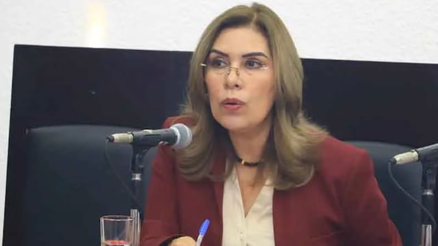 ¿Quién es Rosa Aidé Domínguez Ochoa?