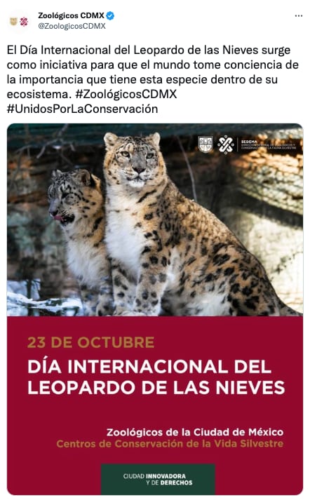 Día Internacional del leopardo de las nieves