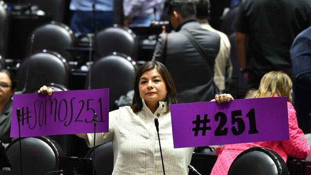 Meggie Salgado, diputada de Morena