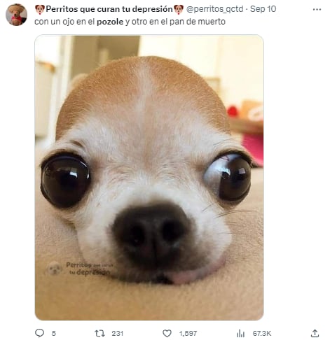 Memes por el 15 de septiembre