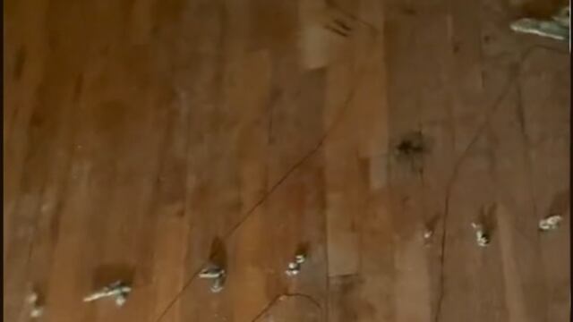 Encuentra una silueta humana y manchas de sangre en su casa