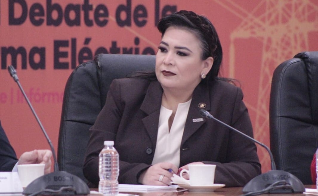 ¿Quién es Ana Elizabeth Ayala? La diputada de Morena que tiene en la mira del himno nacional a Coque Muñiz y otros famosos