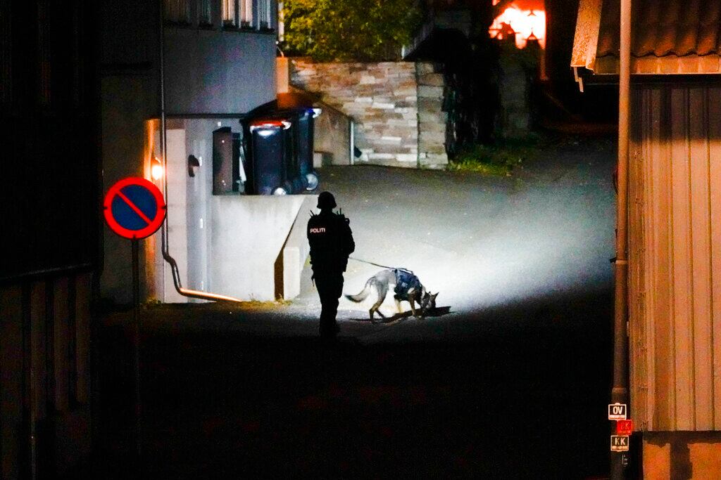 Hombre armado con arco y fleca mata a 5 personas en Noruega