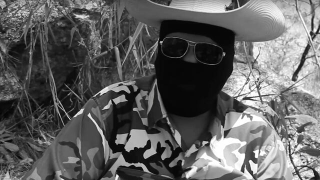 Insurgencia por el Rescate Institucional y Social (IRIS)