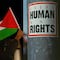 ¿Qué se celebra el 29 de noviembre? Hoy es el Día Internacional del Jaguar, el Día Internacional de Solidaridad con Palestina y el Día de los Defensores de Derechos Humanos