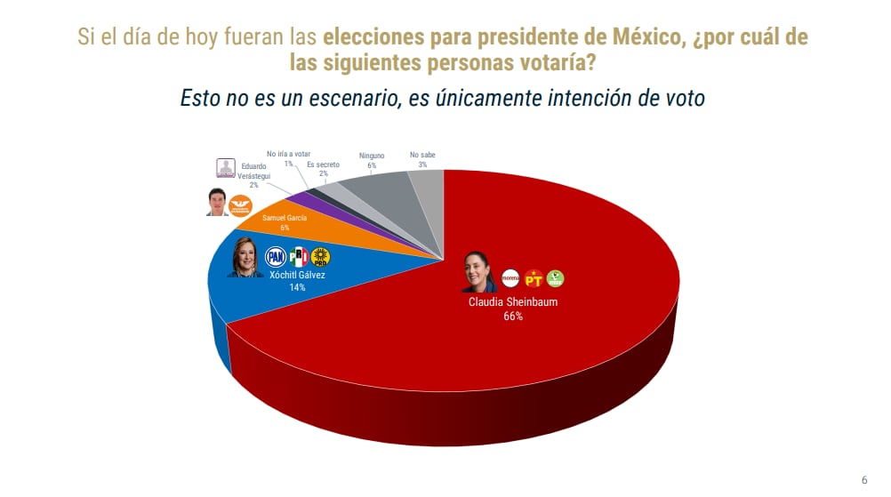 De las Heras Demotecnia encuesta noviembre