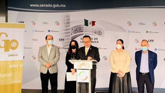 senadores del Grupo Plural