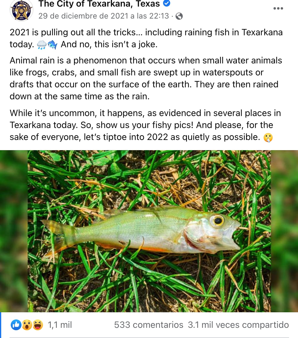 Lluvia de peces en Texas