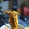 ¿Qué es el Konjac en México? Una sopa instantánea con este ingrediente lo llevó hasta el hospital