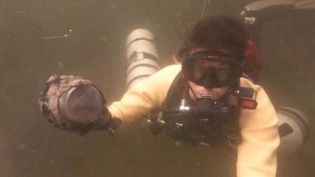 Medidores de luz en cenote