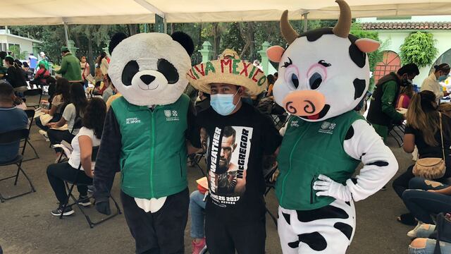 Oso Pandemio y Vaca Vacuna